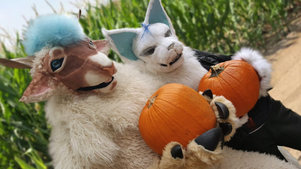 Paws and Pumpkins 