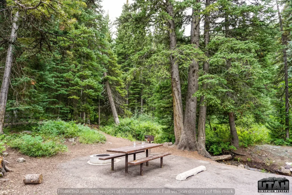 Spruces Campground Site #8 in Big Cottonwood Canyon